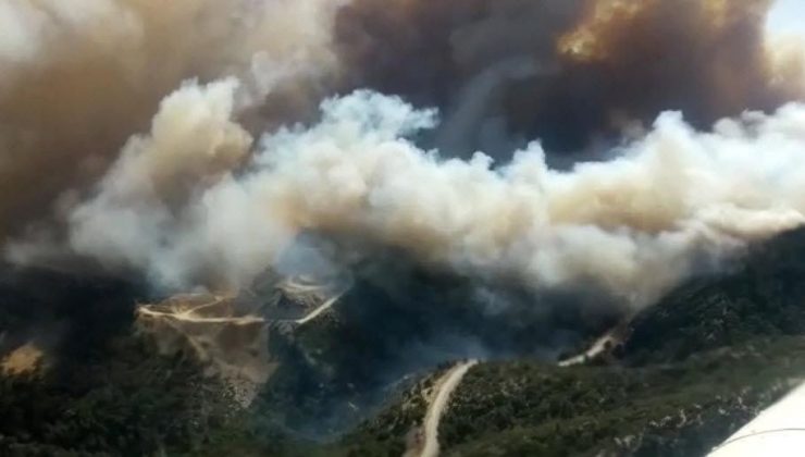 Muğla Datça’da Orman Yangını