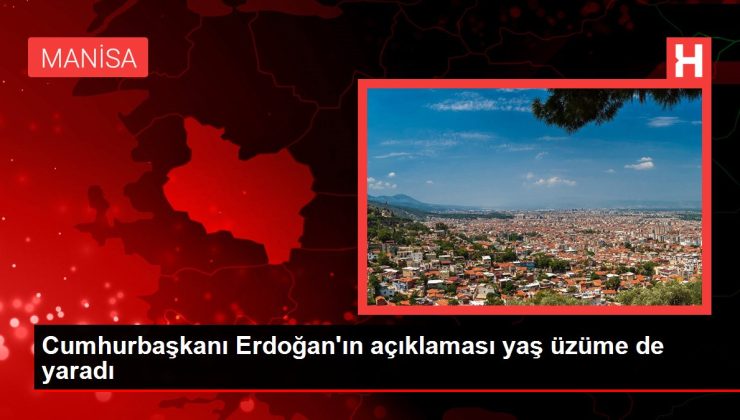 Cumhurbaşkanı Erdoğan’ın açıklaması yaş üzüme de yaradı