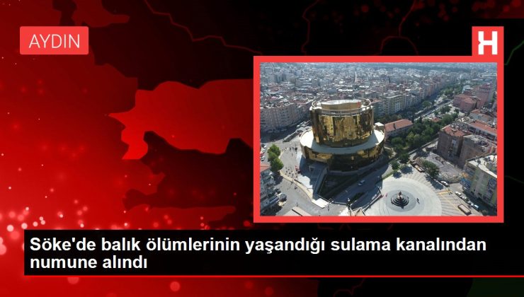 Aydın gündem haberi: Söke’de balık ölümlerinin yaşandığı sulama kanalından numune alındı