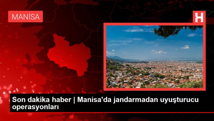 Son dakika haber | Manisa’da jandarmadan uyuşturucu operasyonları