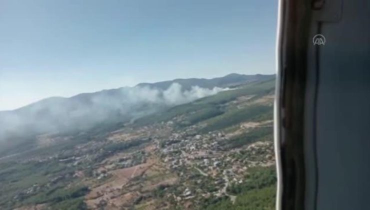 Son dakika haberi | Çıkan orman yangınına müdahale ediliyor