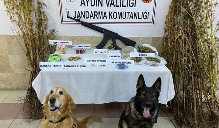Aydın’da eş zamanlı uyuşturucu operasyonu: 26 gözaltı 