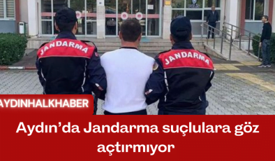 Aydın’da Jandarma suçlulara göz açtırmıyor