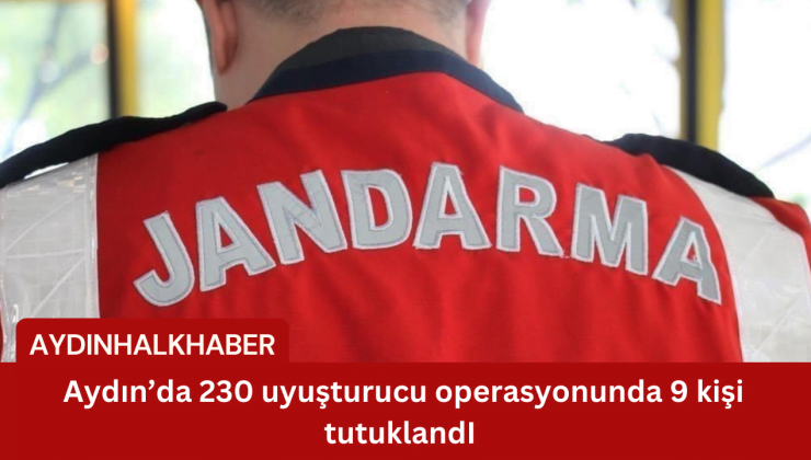 Aydın’da 230 uyuşturucu operasyonunda 9 kişi tutuklandI