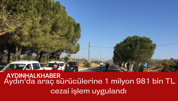 Aydın’da araç sürücülerine 1 milyon 981 bin TL cezai işlem uygulandı