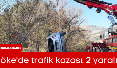 Söke’de trafik kazası: 2 yaralı