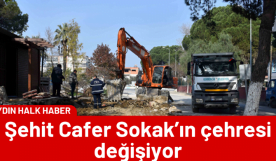 Şehit Cafer Sokak’ın çehresi değişiyor