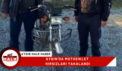 Aydın’da motosiklet hırsızları yakalandı