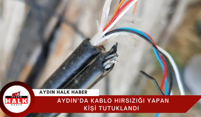 Aydın’da Kablo Hırsızlığı Yapan Kişi Tutuklandı