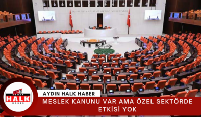 Meslek kanunu var ama özel sektörde etkisi yok
