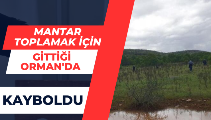 Mantar Toplamak İçin Gittiği Ormanda Kayboldu