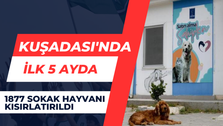 Kuşadası’nda İlk 5 Ayda 1877 Sokak Hayvanı Kısırlaştırıldı.