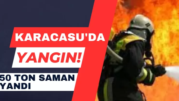 Karacasu’da Yangın! 50 Ton Saman Yandı