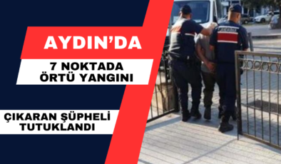 Aydın’da 7 noktada örtü yangını çıkaran şüpheli tutuklandı