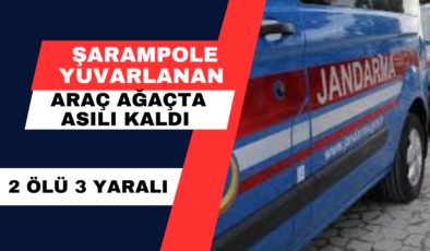 Şarampole Yuvarlanan Araç Ağaçta Asılı Kaldı