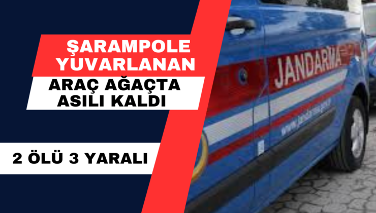 Şarampole Yuvarlanan Araç Ağaçta Asılı Kaldı