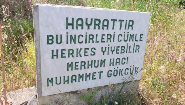 Paylaşmanın önemini gösteren yazı görenlerin içini ısıttı