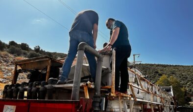 Didim’den Tunus’a 1 milyon çipura yavrusu