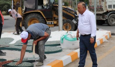 Bozdoğan çiçek gibi oluyor