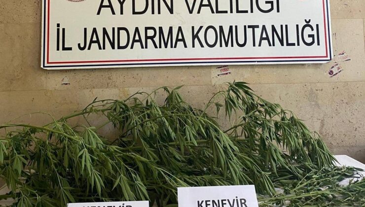 Aydın’da jandarma ekipleri uyuşturucuya geçit vermiyor