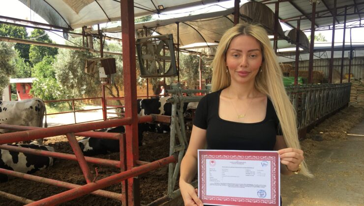 Gazeteciliği bıraktı ‘hastalıktan ari’ çiftlik kurdu