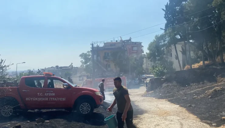 Aydın’da çıkan yangın üniversite kampüs alanına doğru ilerliyor