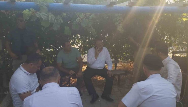Aydın Valisi Canbolat yangın bölgesinde