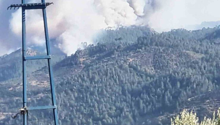 Bozdoğan’da orman yangını