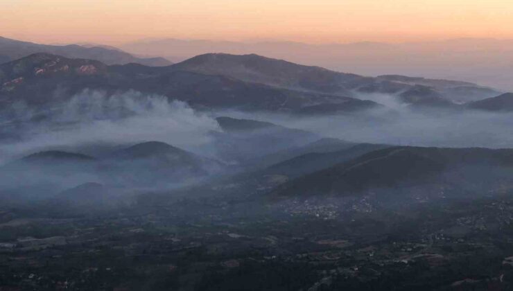 Bozdoğan’daki orman yangınına müdahale sürüyor