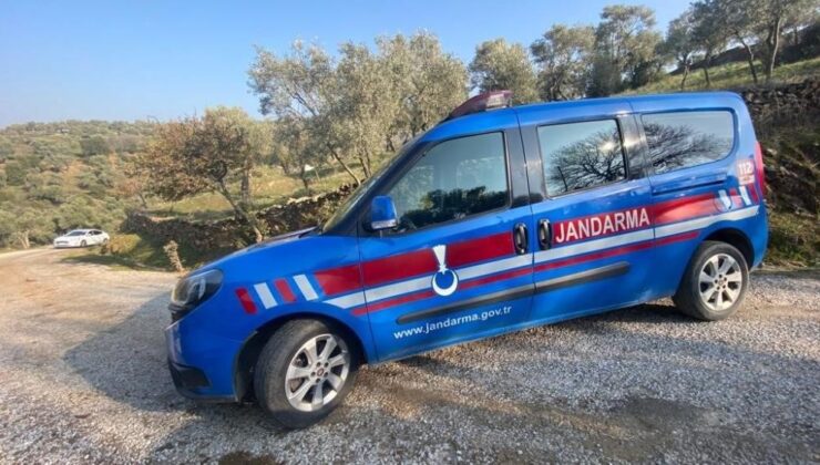 İncir çalarken suçüstü yakalandı