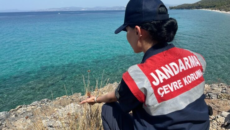 Jandarmadan ‘endemik tür’ devriyesi