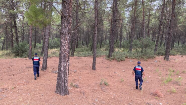 Yasak ormanlık alanlara giren 31 kişi cezadan kaçamadı