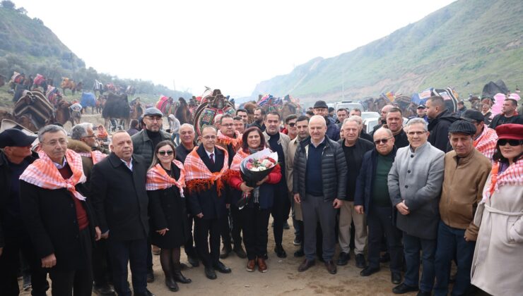 Kuyucak’ta Deve Güreşi Festivali Büyük Bir Coşku İle Yaşandı