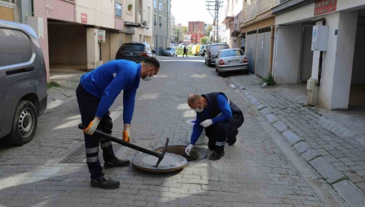 Efeler Belediyesi halk sağlığını koruyor