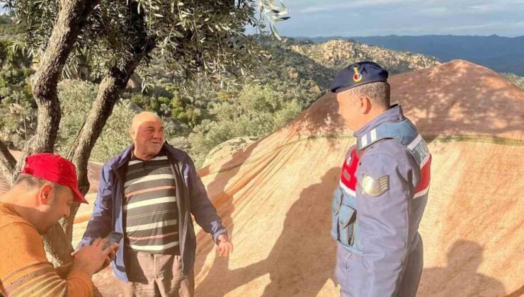 Zeytin hırsızlığına dikkat çekildi