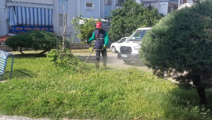 BAŞKAN YETİŞKİN HER ANLAMDA DAHA YAŞANILABİLİR EFELER İÇİN  ÇALIŞIYOR