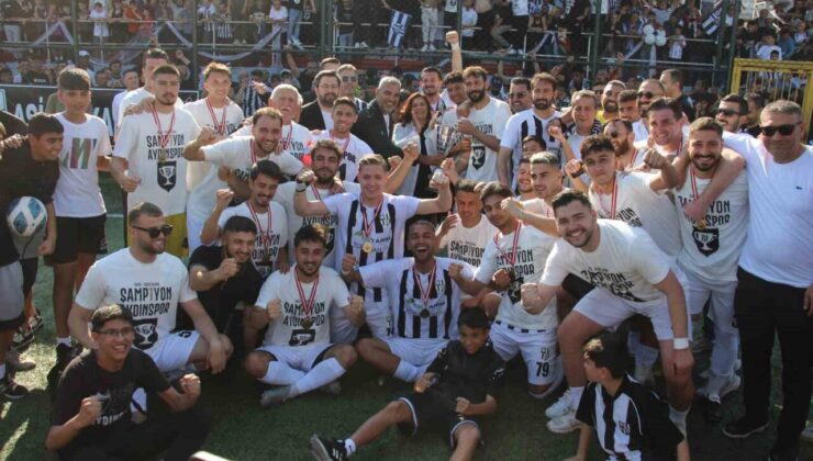 Aydınspor, BAL’a yükseldi