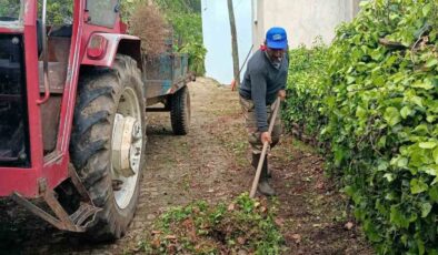 Karacasu Belediyesi’nden Kahvederesi Yaylası’nda temizlik mesaisi