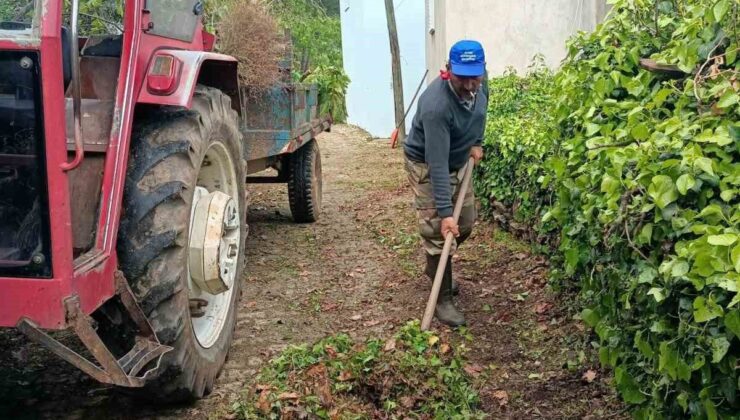 Karacasu Belediyesi’nden Kahvederesi Yaylası’nda temizlik mesaisi