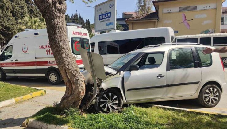 Tansiyonu düşen sürücü, yayalara çarpmamak için ağaca çarptı