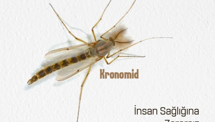 EFELER BELEDİYESİ’NDEN “YALANCI SİVRİSİNEK” KRONOMİDLER HAKKINDA ÖNEMLİ AÇIKLAMA