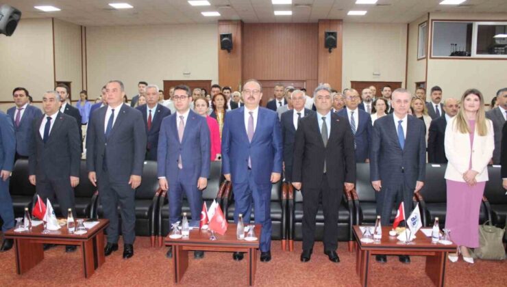 Aydın Memecik Zeytinyağı, dünya markası olacak