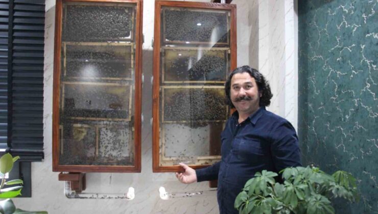 Fabrikasında 5 bin işçi ile ’bal’ gibi çalışıyor