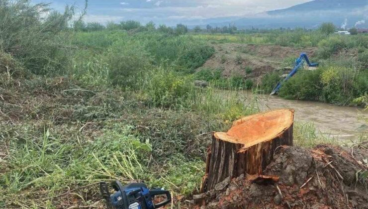 Kamuya ait alanda ağaç kesen şüpheliler yakalandı